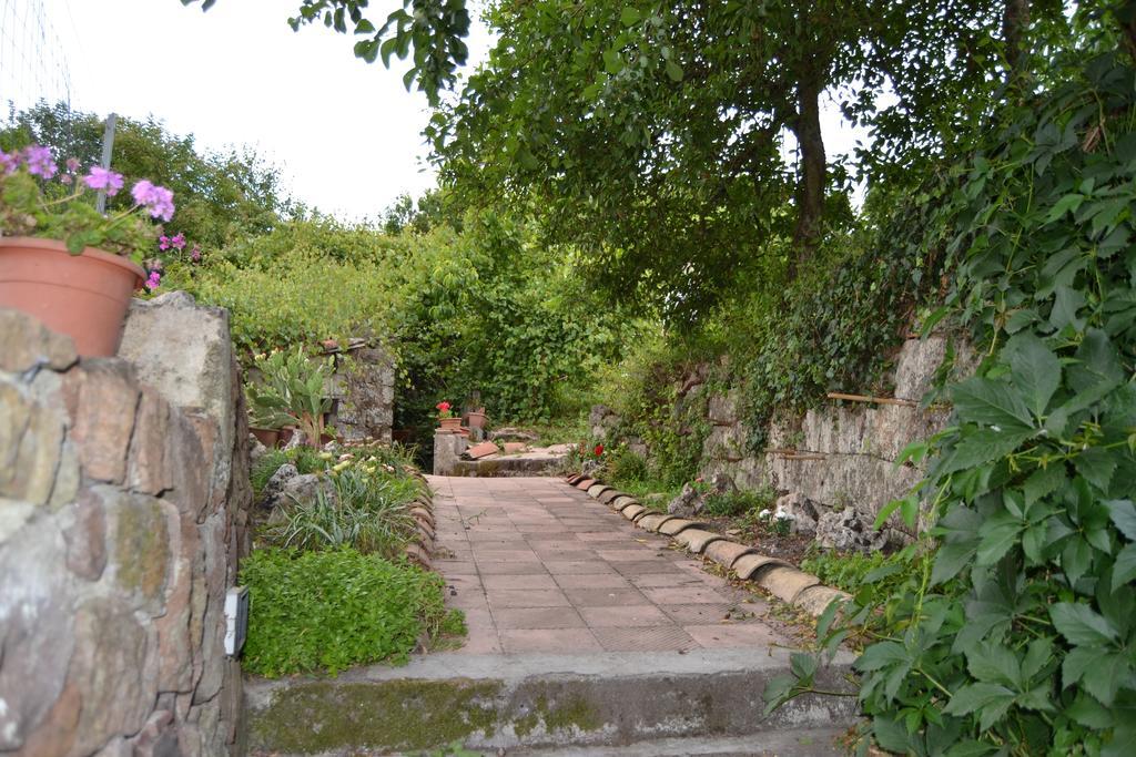 Su Cantaru Guesthouse Villanova Monteleone Exterior foto